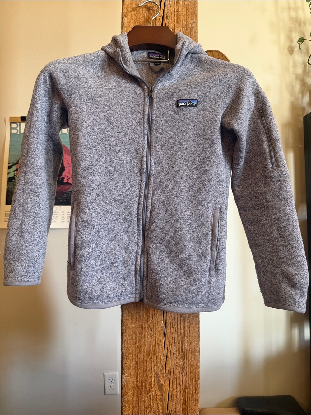 Patagonia better sweater hooded zip up